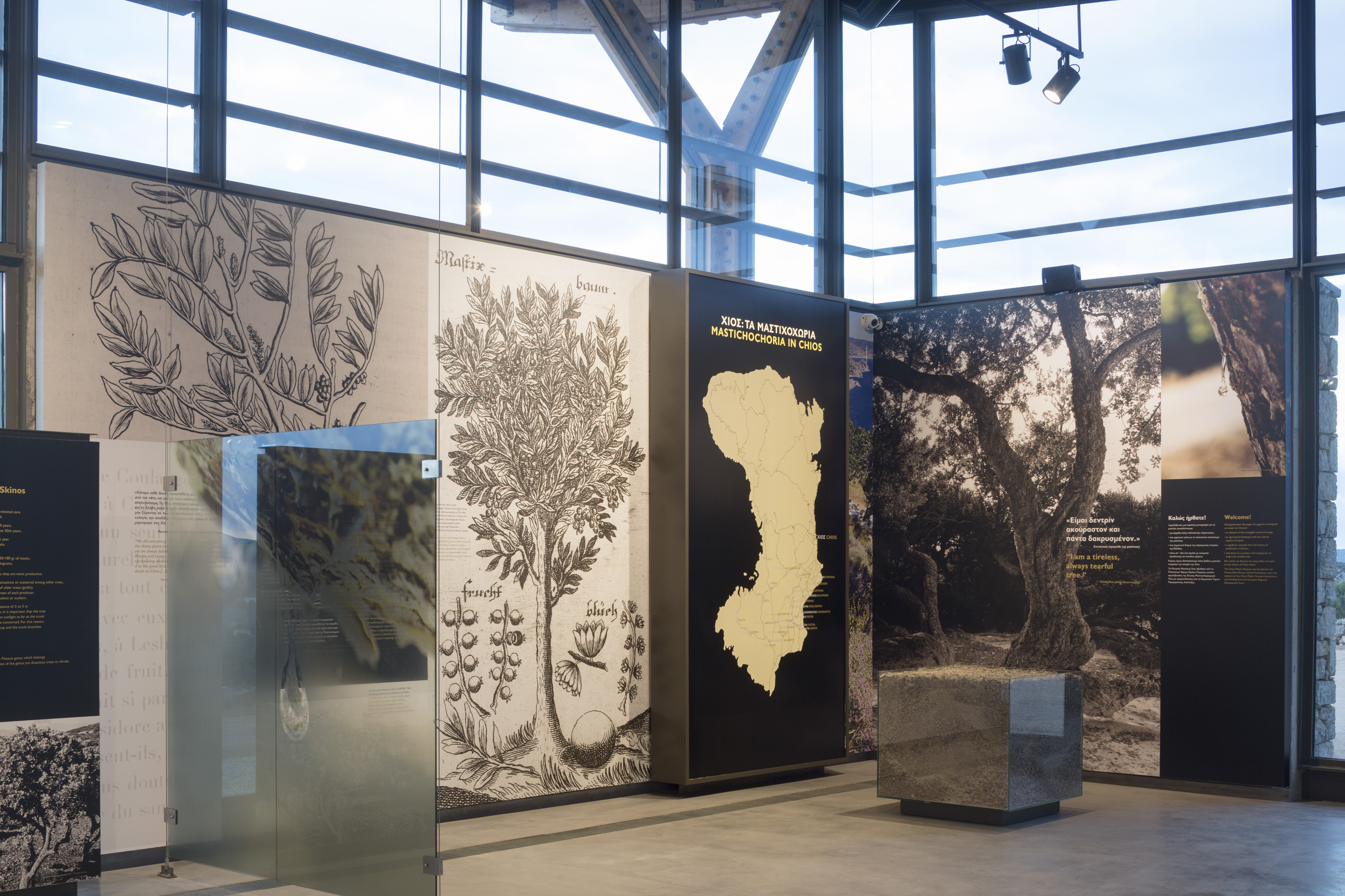 mouseio-mastixas-xiou